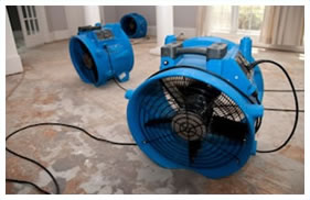 Master Cleaners residential and commercial carpet cleaning company